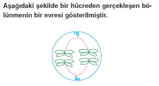 Canlilarintemelbilesimicozumlutest1 (31)