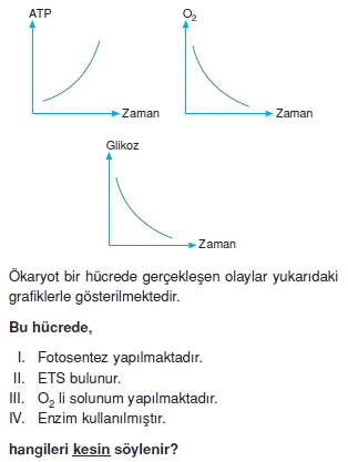 Canlilarintemelbilesimicozumlutest1 (3)