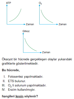 Canlilarintemelbilesimicozumlutest1 (3)