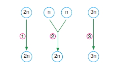 Canlilarintemelbilesimicozumlutest1 (32)