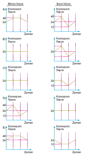 Canlilarintemelbilesimicozumlutest1 (33)