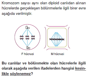 Canlilarintemelbilesimicozumlutest1 (36)