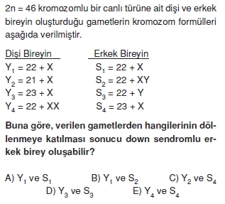 Canlilarintemelbilesimicozumlutest1 (37)