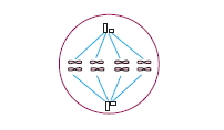 Canlilarintemelbilesimicozumlutest1 (38)