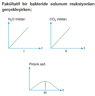 Canlilarintemelbilesimicozumlutest1 (39)