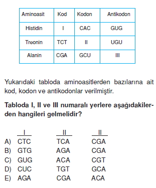 Canlilarintemelbilesimicozumlutest1 (4)