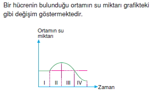 Canlilarintemelbilesimicozumlutest1 (5)