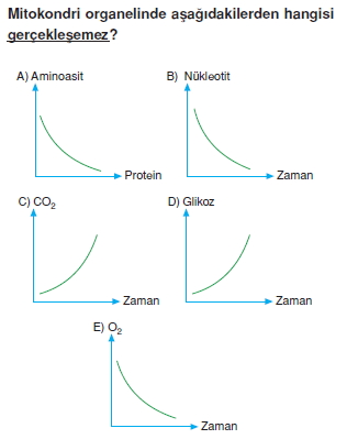 Canlilarintemelbilesimicozumlutest1 (5)