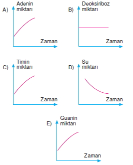 Canlilarintemelbilesimicozumlutest1 (5)