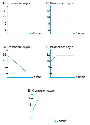 Canlilarintemelbilesimicozumlutest1 (5)