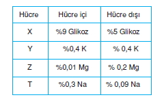 Canlilarintemelbilesimicozumlutest1 (6)