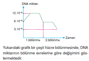 Canlilarintemelbilesimicozumlutest1 (6)