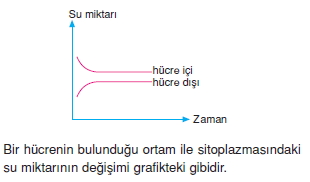 Canlilarintemelbilesimicozumlutest1 (7)