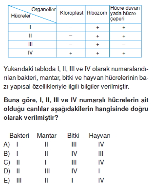 Canlilarintemelbilesimicozumlutest1 (7)