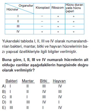 Canlilarintemelbilesimicozumlutest1 (7)