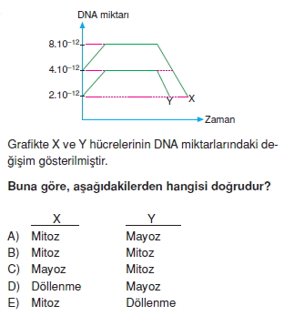 Canlilarintemelbilesimicozumlutest1 (7)