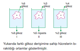 Canlilarintemelbilesimicozumlutest1 (8)