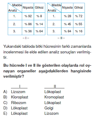 Canlilarintemelbilesimicozumlutest1 (9)