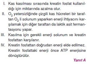 Destekvehareketsistemicözümler1005