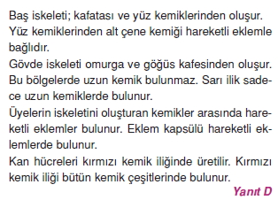 Destekvehareketsistemicözümler1006