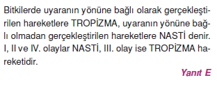 Destekvehareketsistemicözümler2006