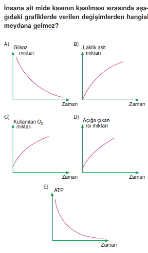 Destekvehareketsistemicözümlütest1001