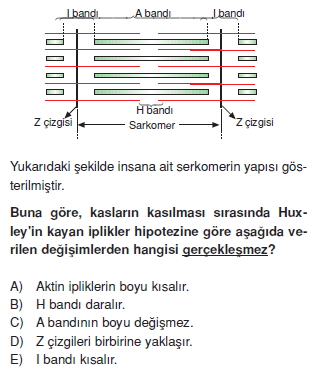 Destekvehareketsistemicözümlütest1003