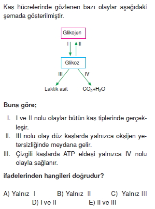 Destekvehareketsistemicözümlütest1004