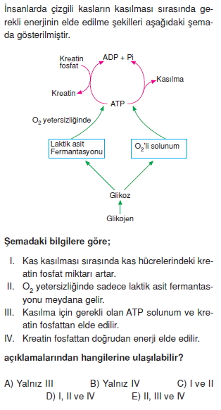 Destekvehareketsistemicözümlütest1005