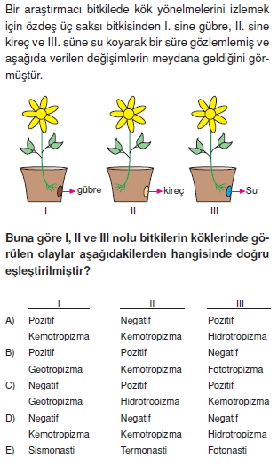 Destekvehareketsistemicözümlütest2003