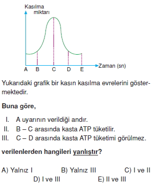 Destekvehareketsistemikonutesti1001
