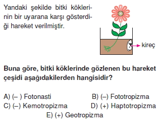 Destekvehareketsistemikonutesti1002