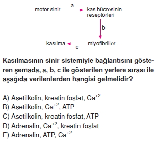 Destekvehareketsistemikonutesti1003