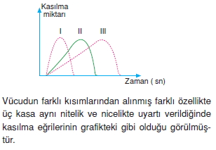 Destekvehareketsistemikonutesti2007