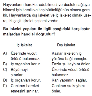 Destekvehareketsistemikonutesti3001