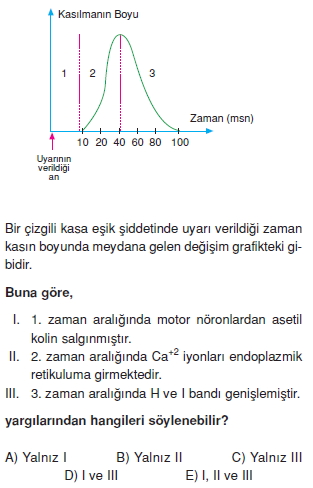 Destekvehareketsistemikonutesti3002