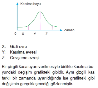 Destekvehareketsistemikonutesti3003