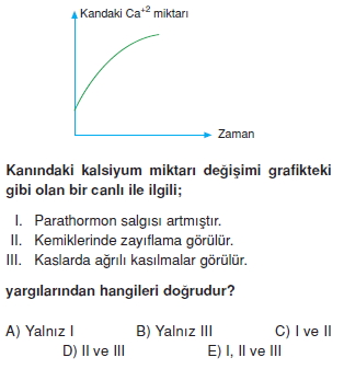 Destekvehareketsistemikonutesti3005