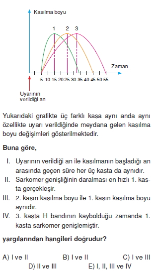 Destekvehareketsistemikonutesti3006