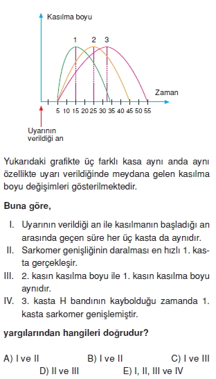 Destekvehareketsistemikonutesti3006