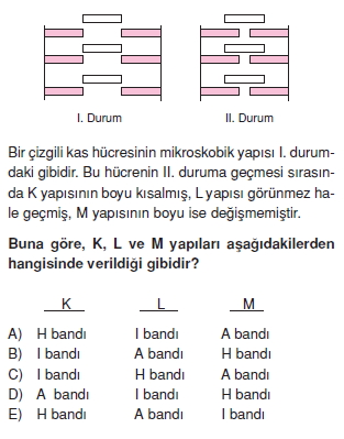 Destekvehareketsistemikonutesti4002