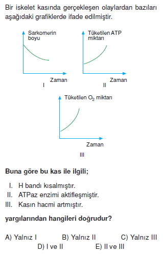 Destekvehareketsistemikonutesti4003