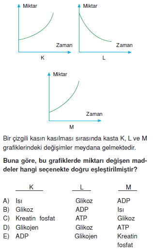 Destekvehareketsistemikonutesti4005