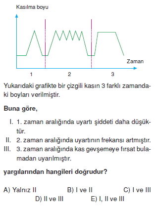 Destekvehareketsistemikonutesti4006