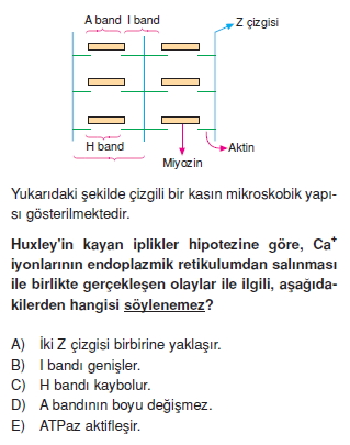 Destekvehareketsistemikonutesti5003