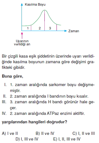 Destekvehareketsistemikonutesti5004