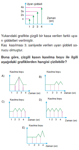 Destekvehareketsistemikonutesti5006