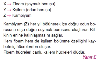 Dokularcözümler2001