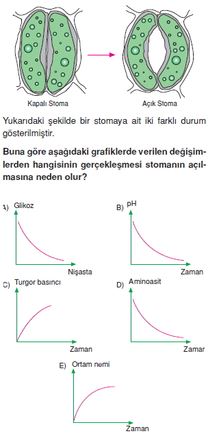 Dokularcözümlütest1002