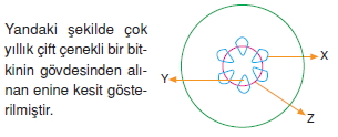 Dokularcözümlütest2001